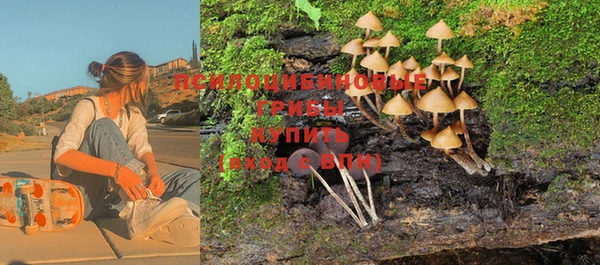 ПСИЛОЦИБИНОВЫЕ ГРИБЫ Алексеевка