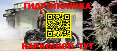 каннабис Усть-Джегута
