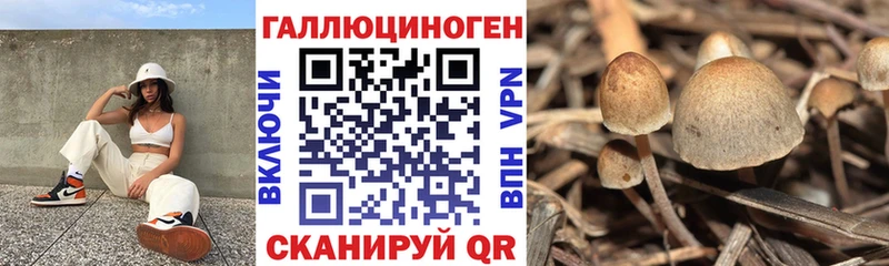 купить наркотики сайты  Пермь  Псилоцибиновые грибы MAGIC MUSHROOMS 