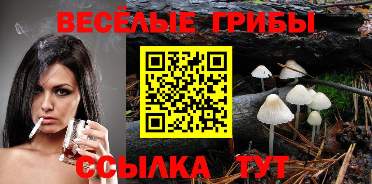 Галлюциногенные грибы Psilocybe Пермь