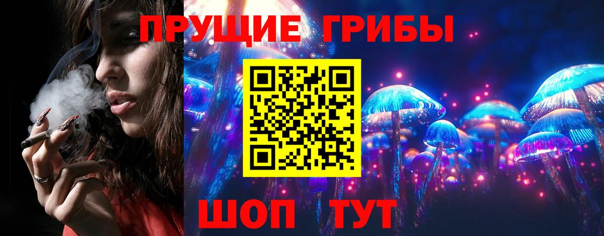 Псилоцибиновые грибы Cubensis  Вход с VPN  Псилоцибиновые грибы Psilocybe  Пермь 